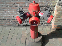 Foto Gierle