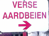 Foto Gierle
