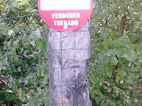 Foto Poederlee