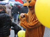 Lilse jaarmarkt 18 jan. 2015