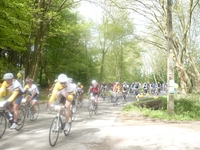 foto van donderdag 9 mei: 1000 km