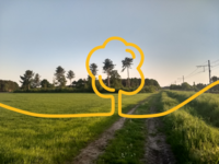 Deze groene oase zou zijn opgeofferd voor het intergemeentelijke containerpark